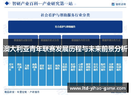澳大利亚青年联赛发展历程与未来前景分析 澳大利亚青年联赛发展历程与未来前景分析